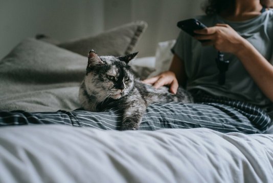 Familie-Haustier-pexels Katze und Frau genießen die Zeit im Bett